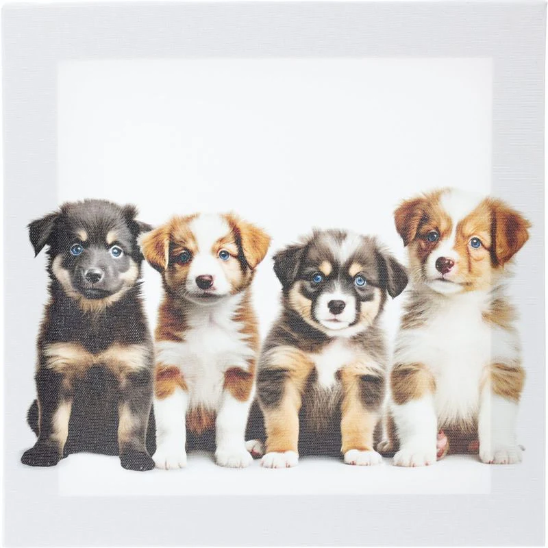Canvas 3 bilder 20x20cm | 3 ass - Image 8